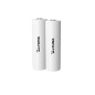 BATERIA ACB20/ACB25 PACK 2 BAT 